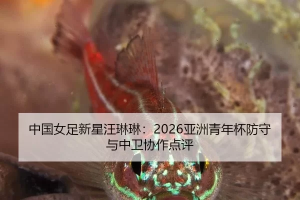 中国女足新星汪琳琳：2026亚洲青年杯防守与中卫协作点评